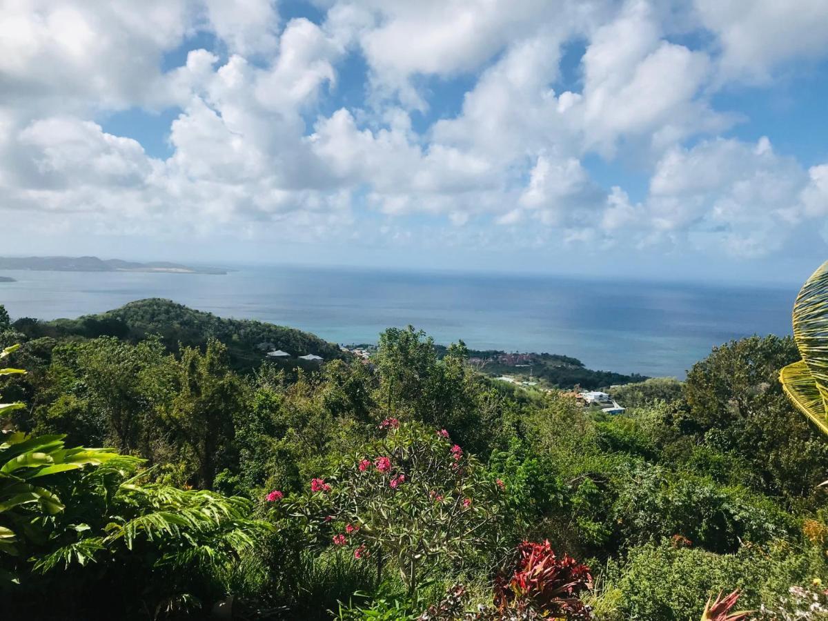 Appartement Prive Eco-Responsable, Vue Sur La Mer Des Caraibes Et Jardin Clos, Wifi, A 2Mn De La Plage 상트루스 외부 사진
