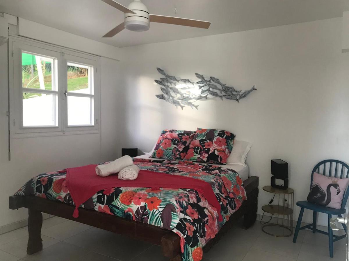 Appartement Prive Eco-Responsable, Vue Sur La Mer Des Caraibes Et Jardin Clos, Wifi, A 2Mn De La Plage 상트루스 외부 사진