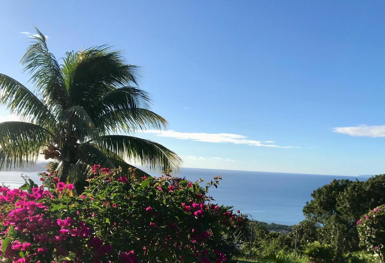 Appartement Prive Eco-Responsable, Vue Sur La Mer Des Caraibes Et Jardin Clos, Wifi, A 2Mn De La Plage 상트루스 외부 사진